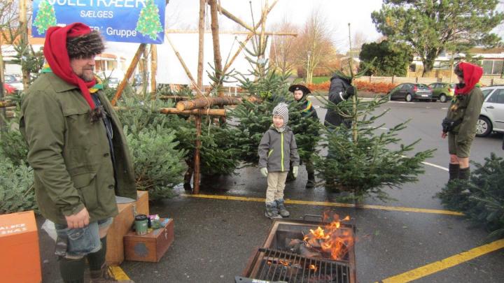 Spejdere der sælger juletræer